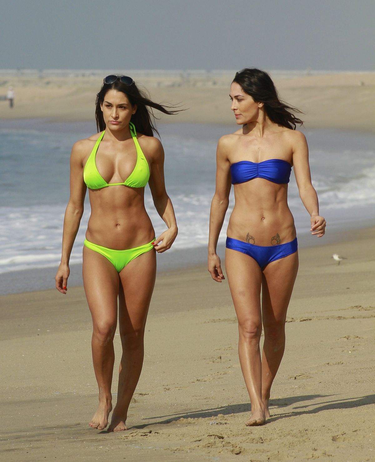 Wwe bella twins bikini