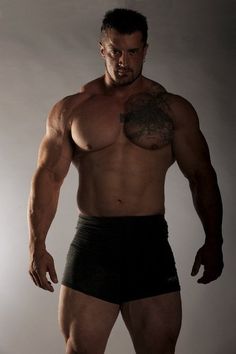 Gay muscle men bodybuilders sex
