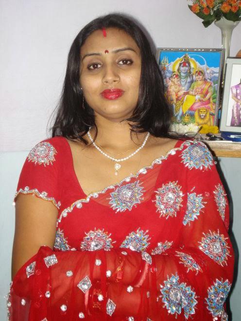 North indian housewife