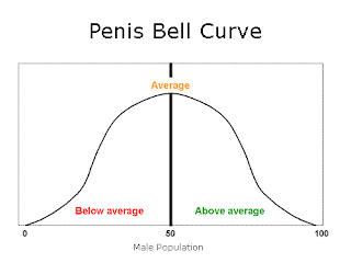 Average male penis size