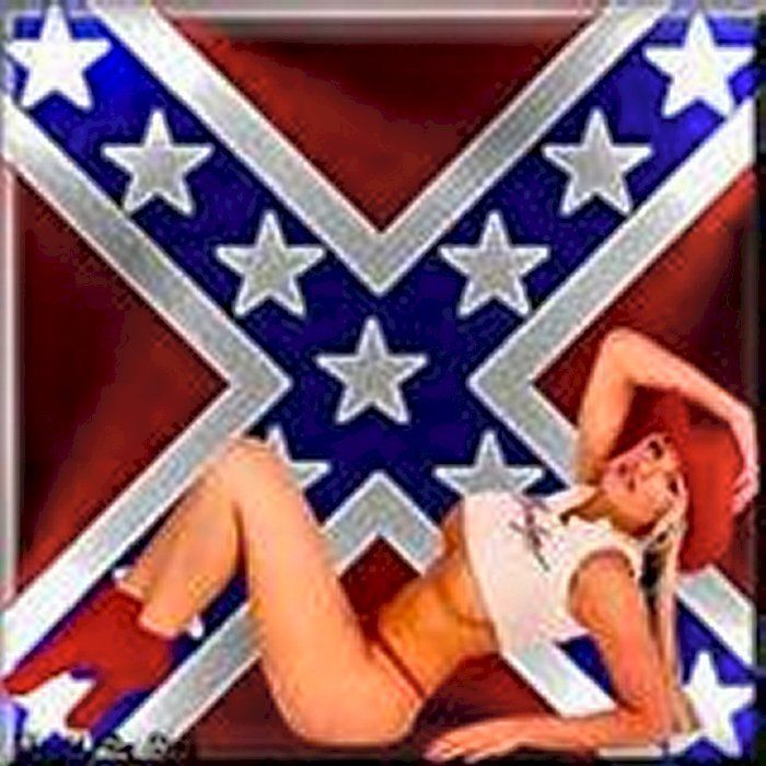 Naked girl with rebel flag